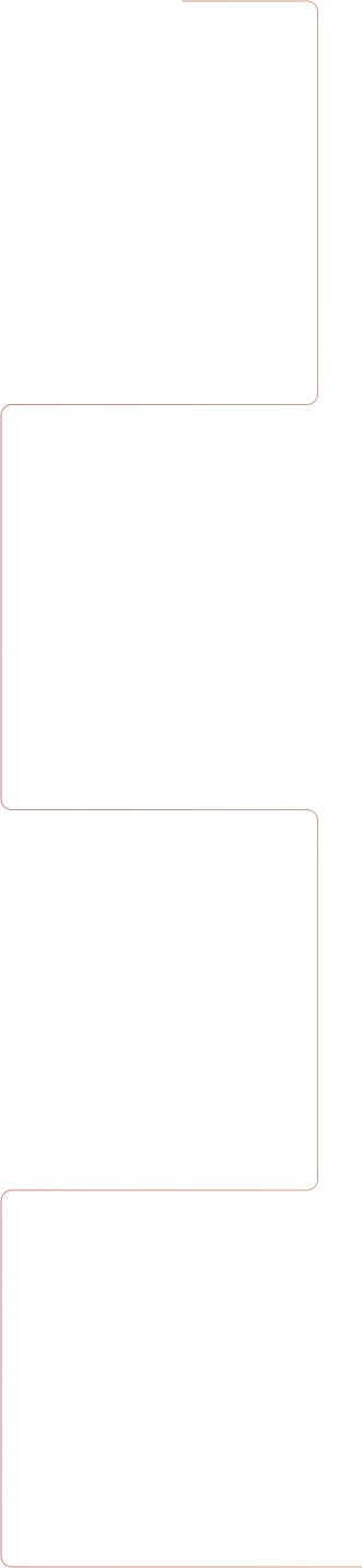 milestones-line icon